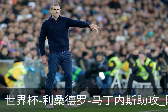 世界杯-利桑德罗-马丁内斯助攻 阿根廷半场暂1-0佛得角