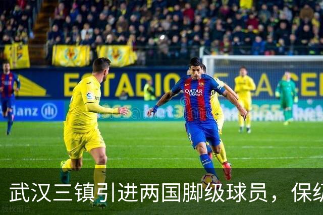 武汉三镇引进两国脚级球员，保级前景乐观
